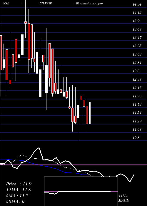  Daily chart BilVyapar