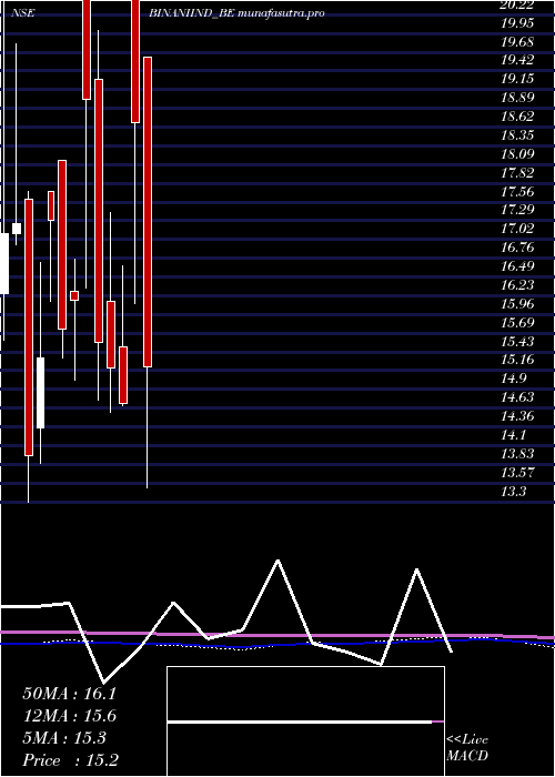 monthly chart BinaniIndustries