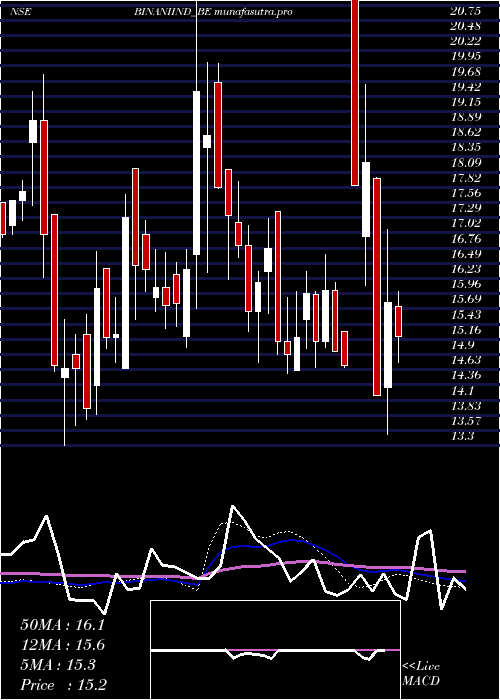 weekly chart BinaniIndustries