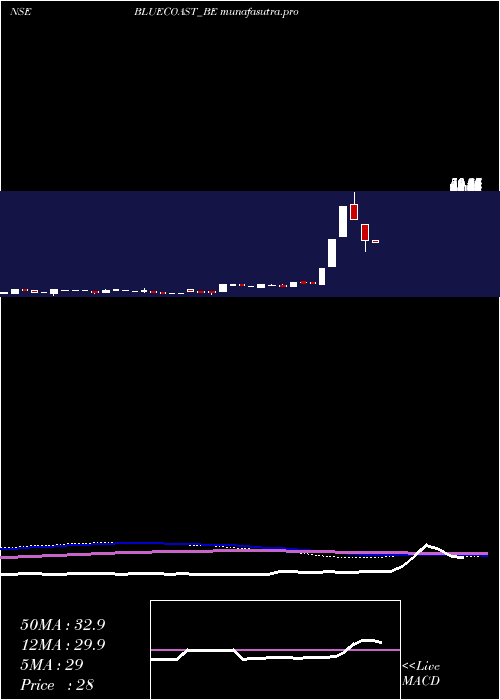 monthly chart BlueCoast