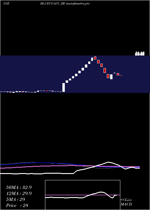 weekly chart BlueCoast
