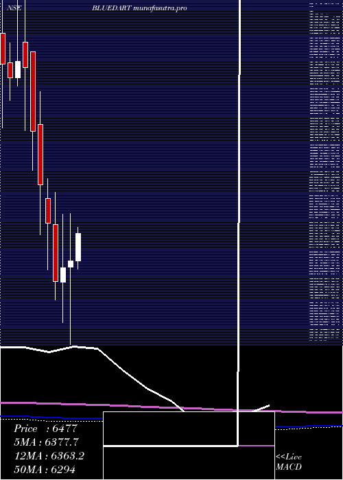 monthly chart BlueDart
