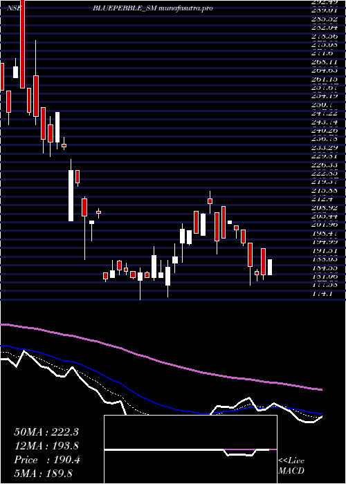 Daily chart BluePebble