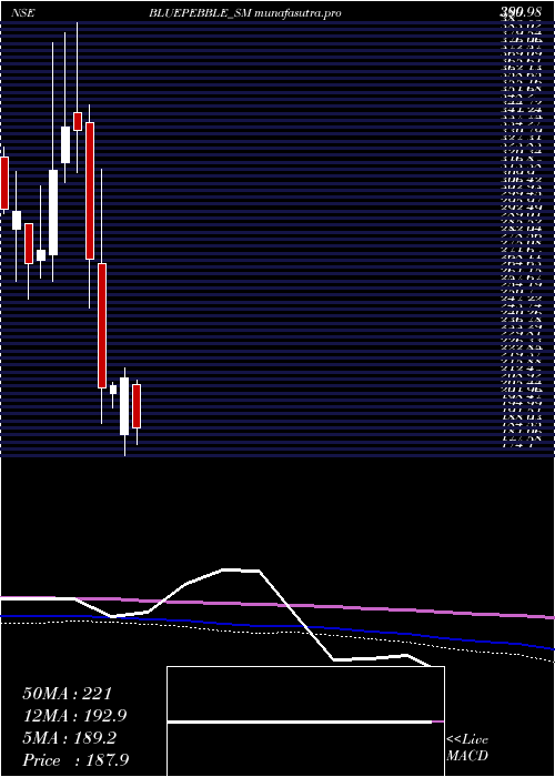 monthly chart BluePebble