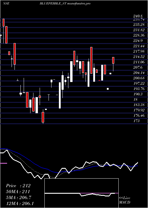 Daily chart BluePebble