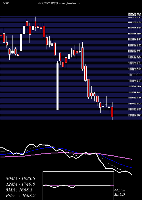 Daily chart BlueStar