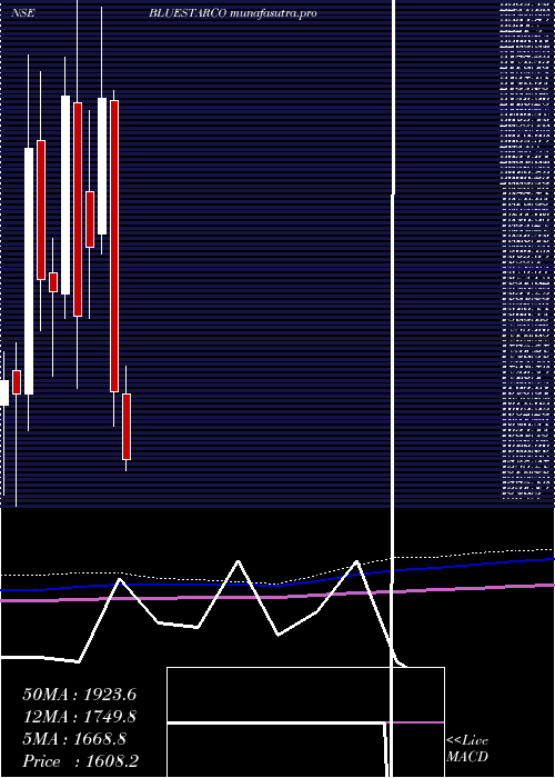 monthly chart BlueStar