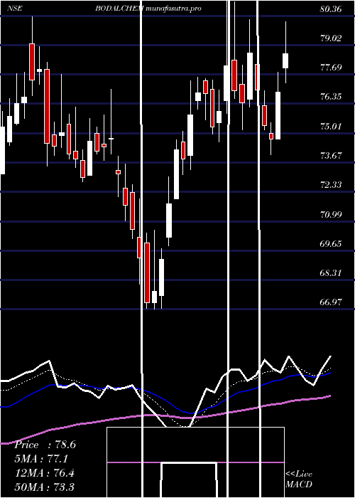 Daily chart BodalChemicals