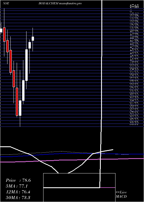 monthly chart BodalChemicals