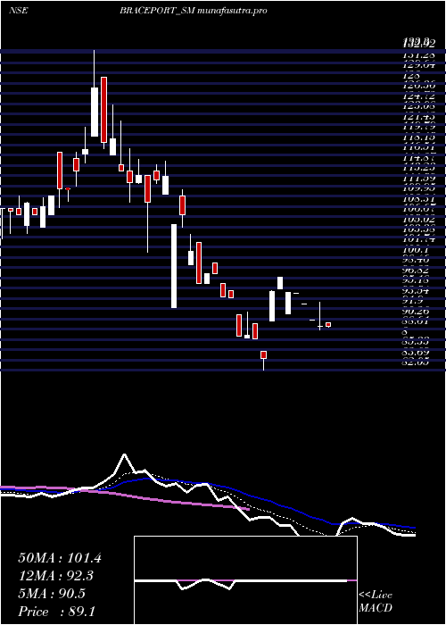 Daily chart BracePort