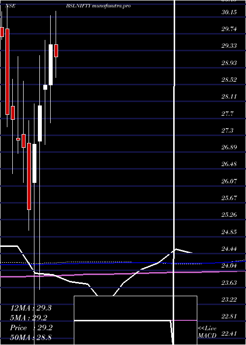 monthly chart BirlaSun
