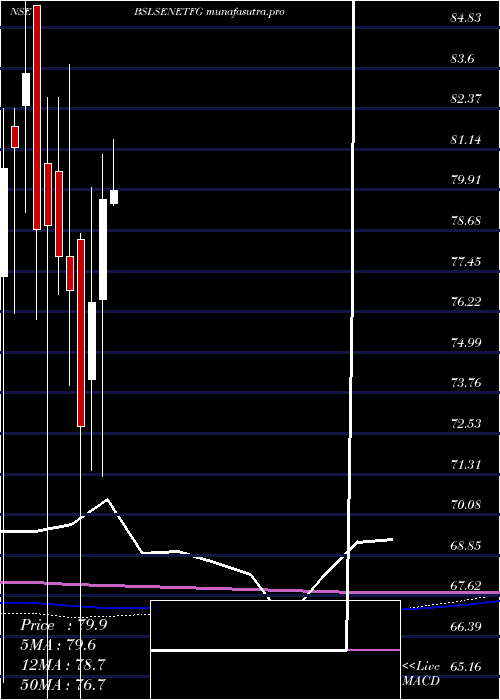 monthly chart BirlaslamcBslsenetfg