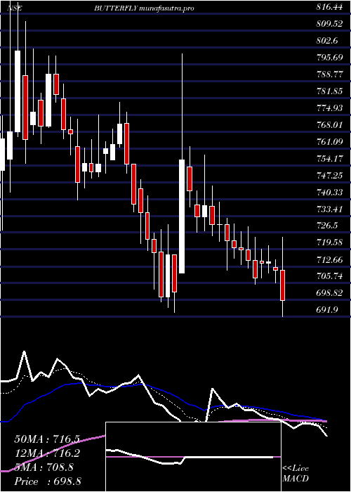 Daily chart ButterflyGandhimathi