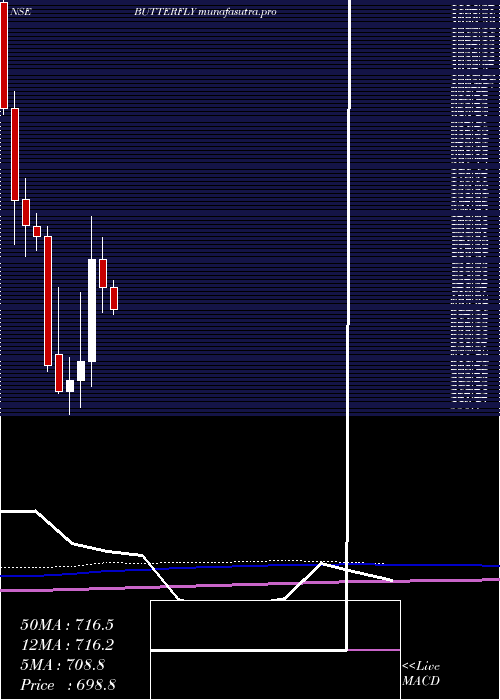 monthly chart ButterflyGandhimathi