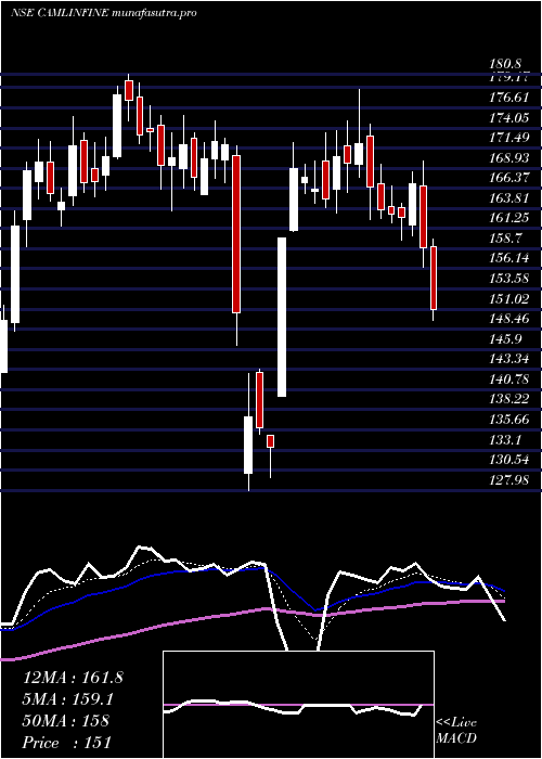 Daily chart CamlinFine