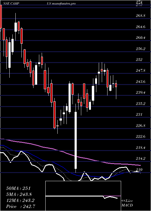  Daily chart CampusActivewear