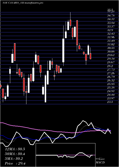Daily chart CanarysAutomations