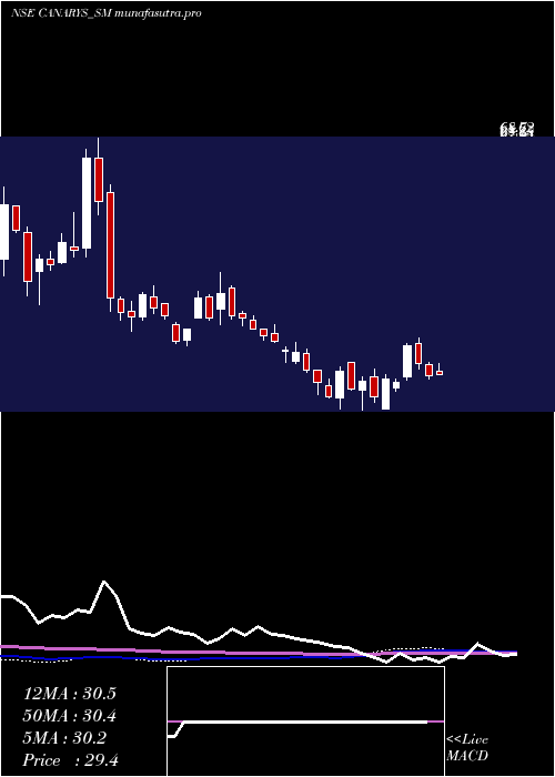 weekly chart CanarysAutomations
