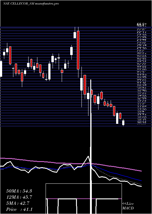 Daily chart CellecorGadgets