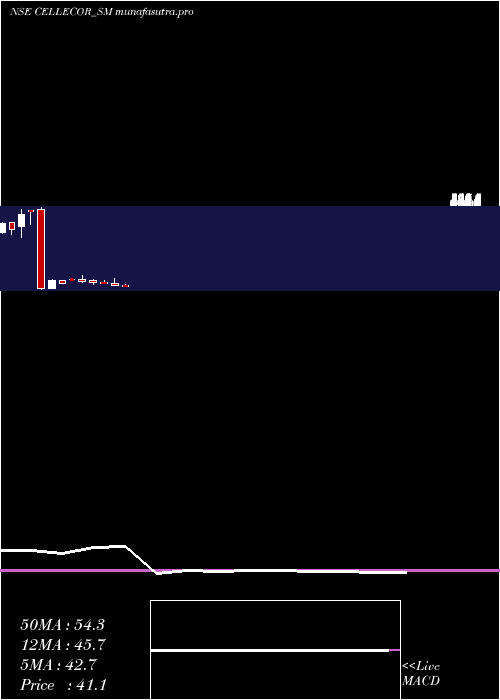 monthly chart CellecorGadgets