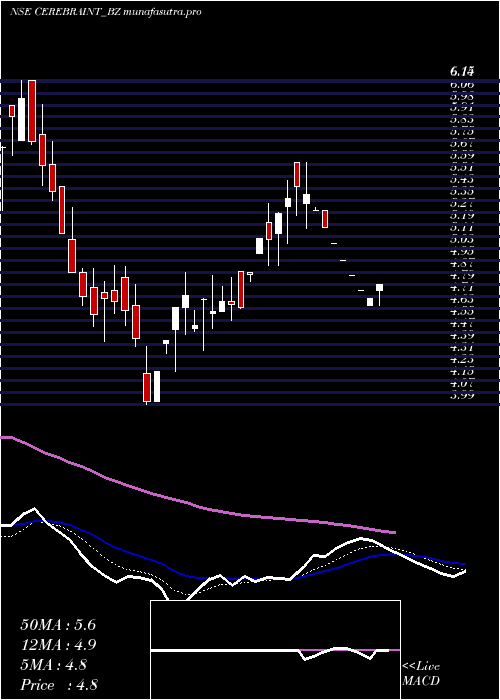 Daily chart CerebraInt