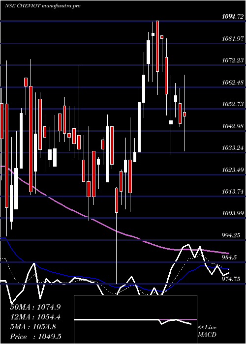 Daily chart CheviotCompany