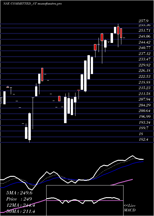 Daily chart CommittedCargo