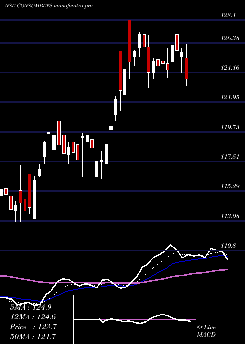 Daily chart NipInd
