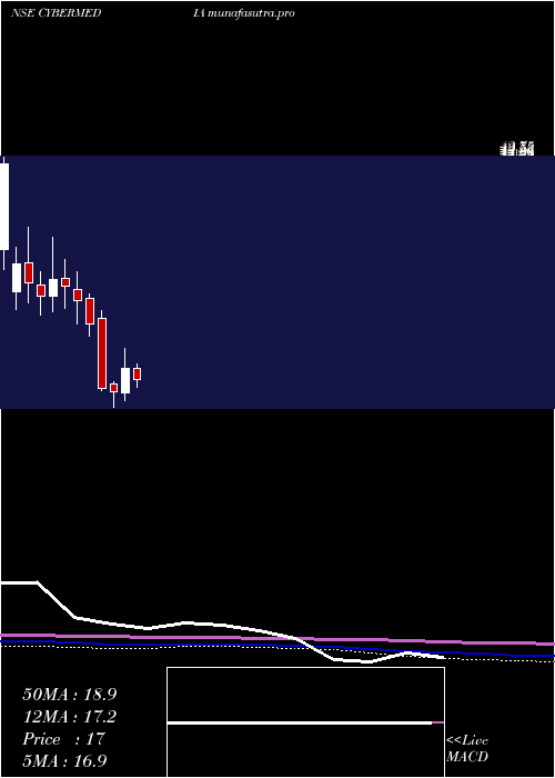 monthly chart CyberMedia