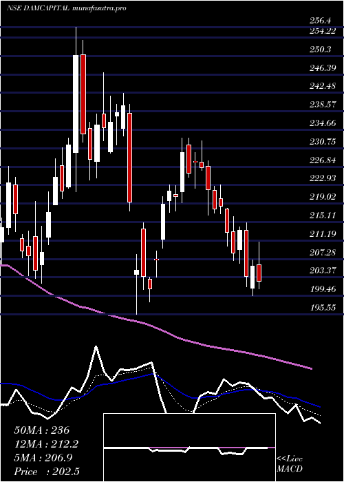 Daily chart DamCapital