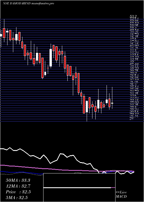 weekly chart DamodarIndust