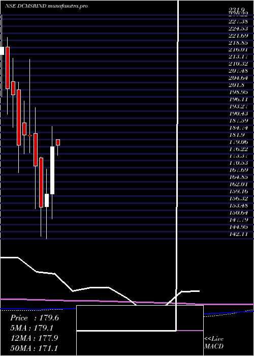 monthly chart DcmShriram