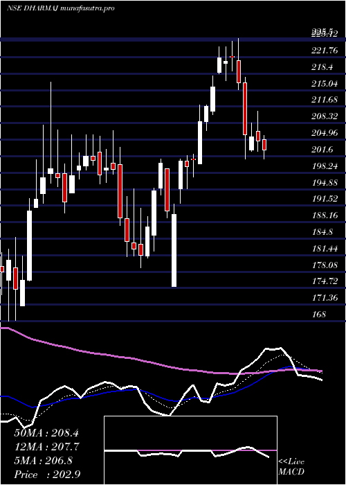 Daily chart DharmajCrop