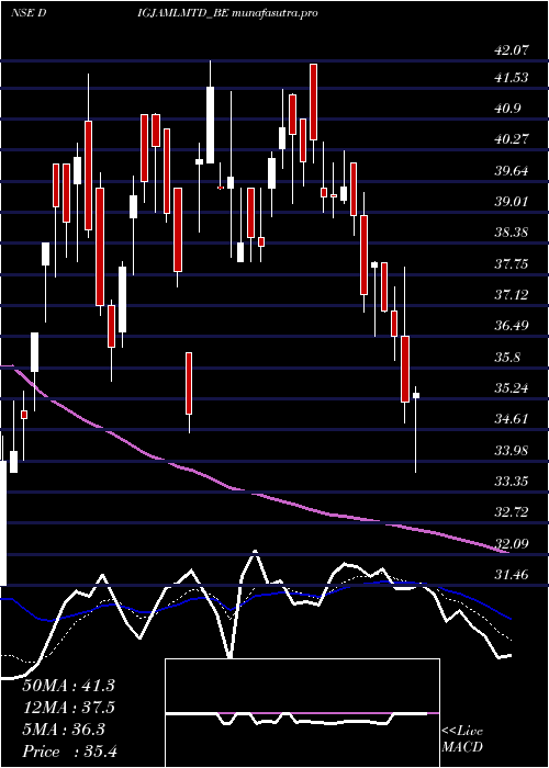 Daily chart Digjam
