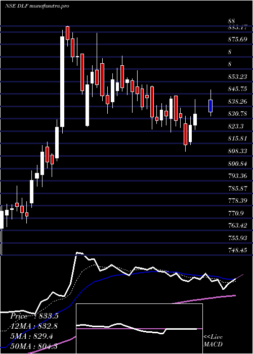  Daily chart Dlf