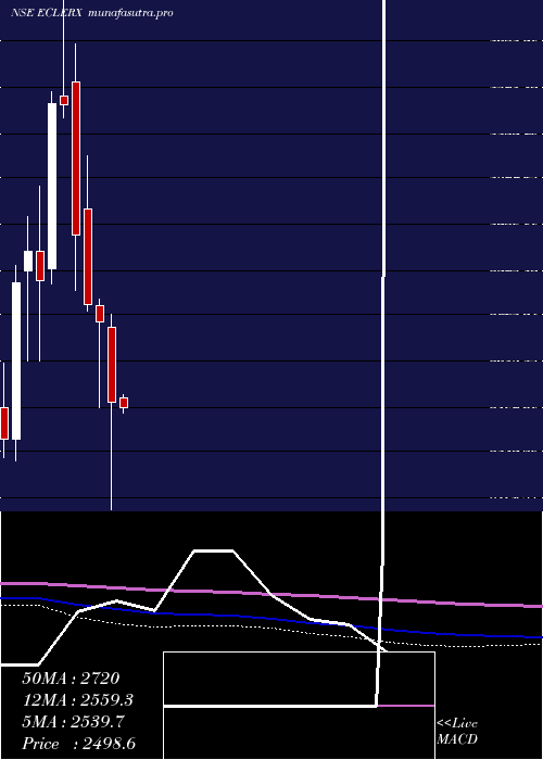 monthly chart EclerxServices