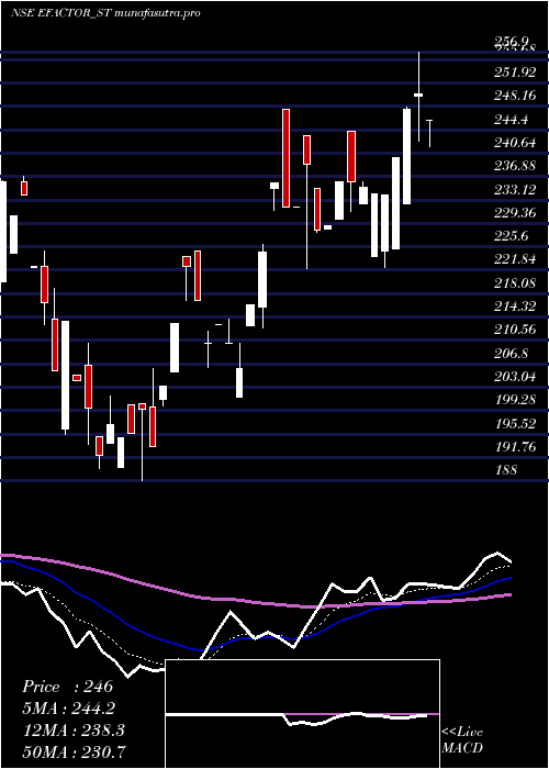 Daily chart EFactor