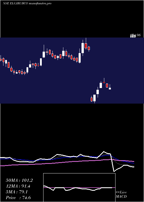 Daily chart ElgiRubber