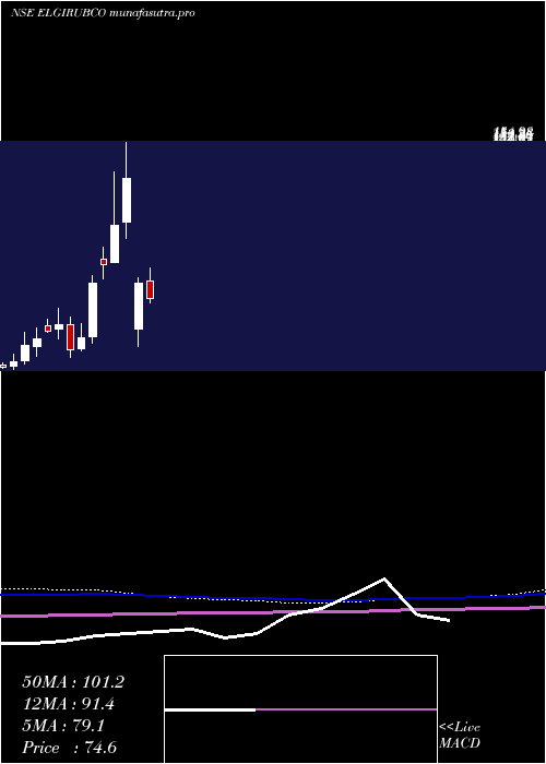 monthly chart ElgiRubber