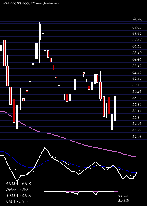 Daily chart ElgiRubber