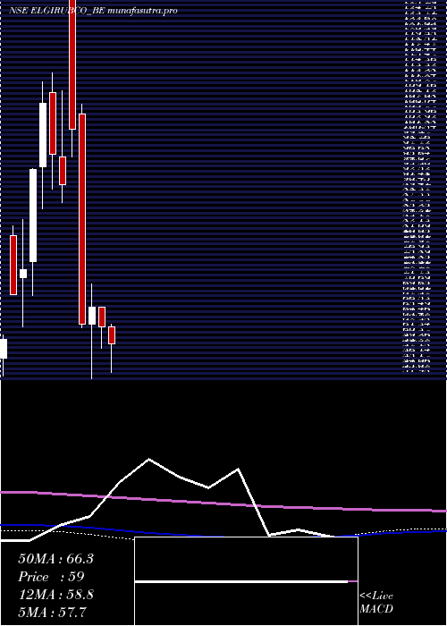 monthly chart ElgiRubber