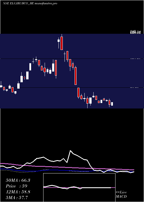 weekly chart ElgiRubber