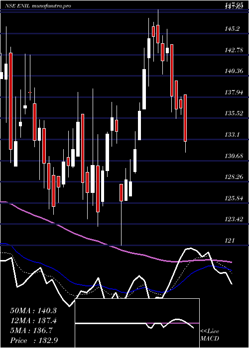  Daily chart EntertainmentNetwork