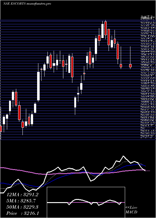 Daily chart Escorts