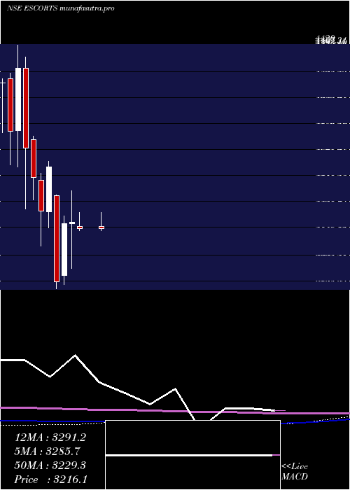 monthly chart Escorts