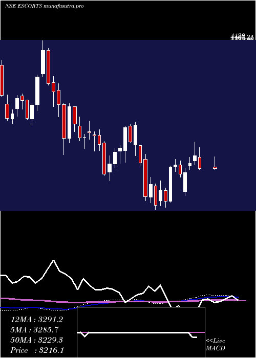 weekly chart Escorts