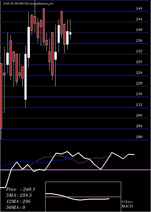Daily chart EuroPanel