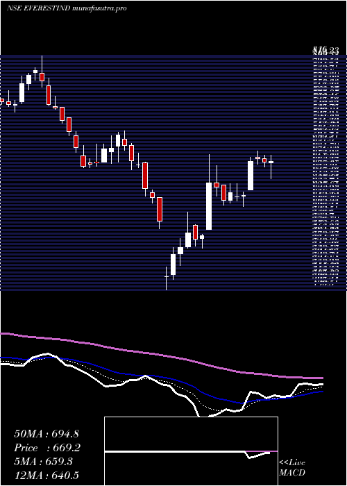 Daily chart EverestIndustries