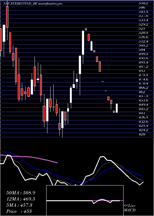 Daily chart EverestIndustries