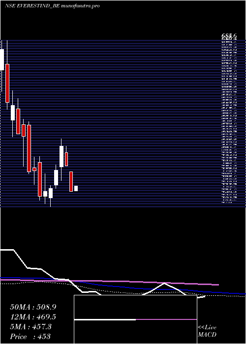 weekly chart EverestIndustries